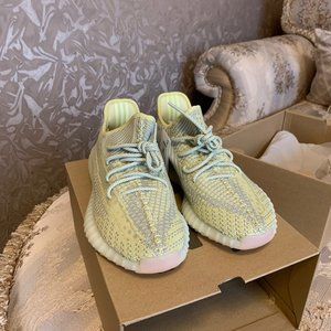 Yeezy Boost 350 v2 Antlia